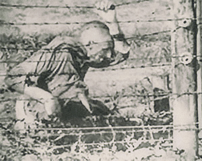 An inmate at the Auschwitz-Birkenau death camp sits motionless in death after ending his suffering on a barbed wire electric fence.