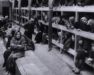 When the Red Army liberated Auschwitz they found the cramped sleeping quarters of the Jewish women filled with lice, disease, and scores of dead or dying prisoners.