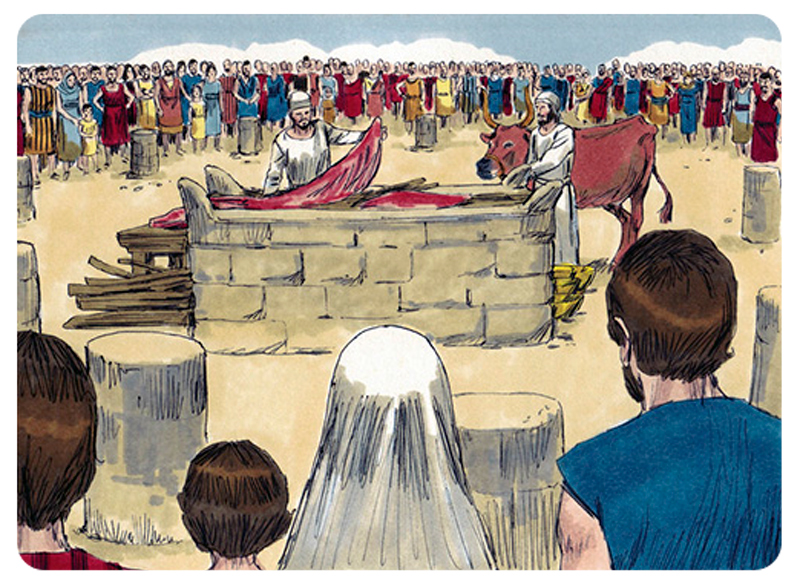 The priests were commanded to sacrifice the red heifer for the rite of purification.