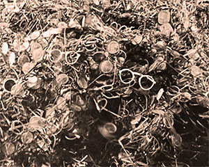 The vast numbers of Jews murdered by the Nazis were evidenced by the huge quantites of possessions left piled together in rooms in camps like Auschwitz after it was abandoned, including tens of thousands of pairs of spectacles.